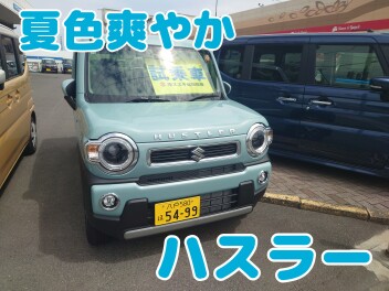 夏休み特別企画　試乗車大紹介その2　～夏色爽やかハスラー～